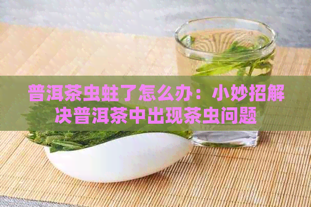 普洱茶虫蛀了怎么办：小妙招解决普洱茶中出现茶虫问题