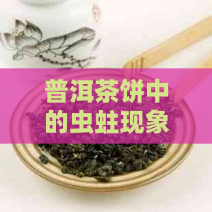 普洱茶饼中的虫蛀现象：正常还是需要警惕？