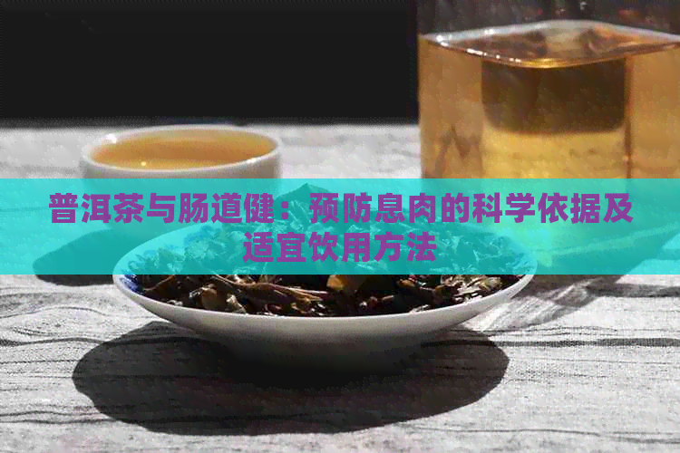 普洱茶与肠道健：预防息肉的科学依据及适宜饮用方法