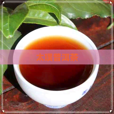 太璞普洱茶