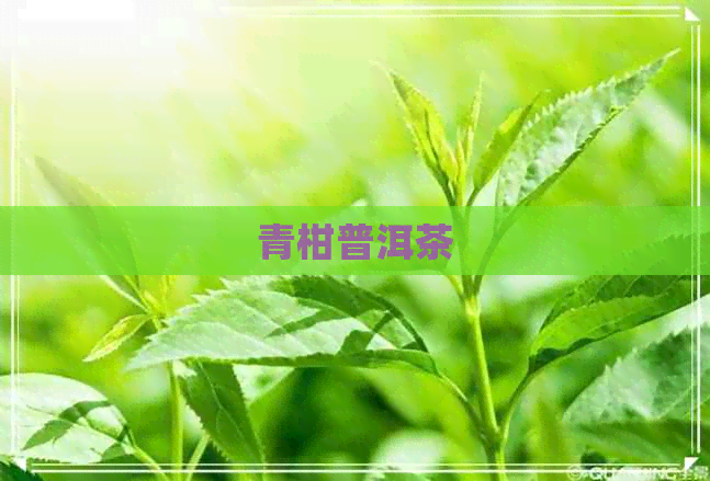 青柑普洱茶