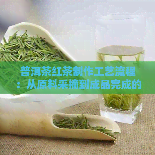 普洱茶红茶制作工艺流程：从原料采摘到成品完成的完整过程