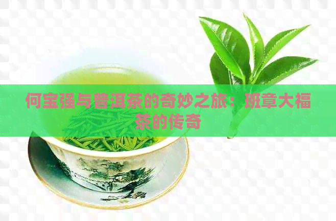 何宝强与普洱茶的奇妙之旅：班章大福茶的传奇