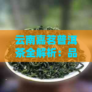 云南嘉茗普洱茶全解析：品质、功效、冲泡方法与品鉴技巧一应俱全！