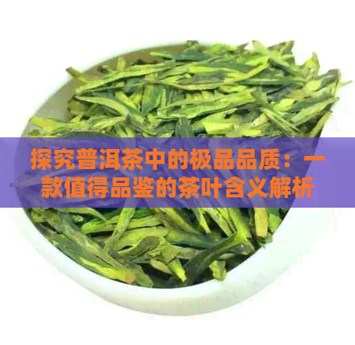 探究普洱茶中的极品品质：一款值得品鉴的茶叶含义解析