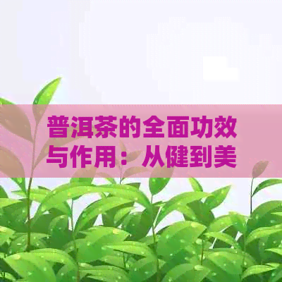 普洱茶的全面功效与作用：从健到美容，一篇解答您所有疑问