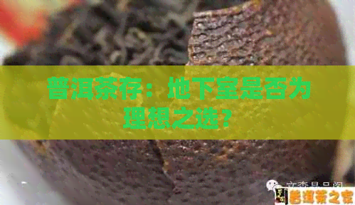 普洱茶存：地下室是否为理想之选？