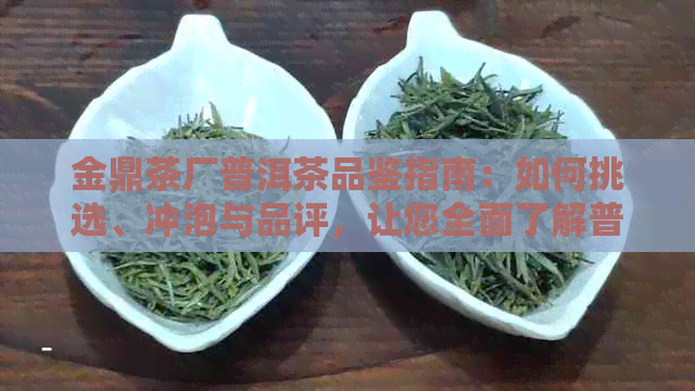 金鼎茶厂普洱茶品鉴指南：如何挑选、冲泡与品评，让您全面了解普洱茶的魅力