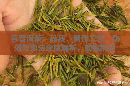 言普洱茶：品质、制作工艺、功效与泡法全面解析，助你挑选与品鉴