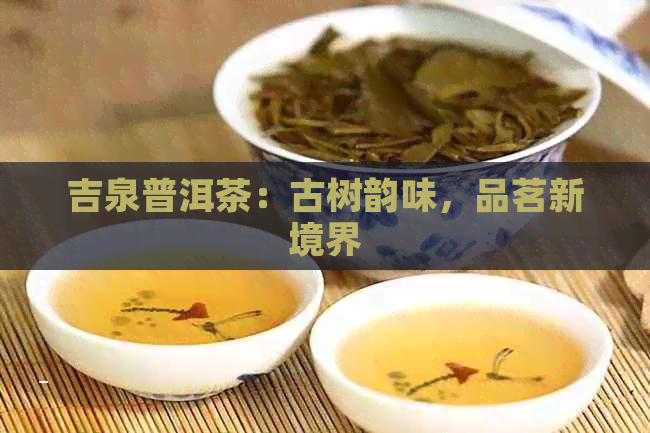 吉泉普洱茶：古树韵味，品茗新境界