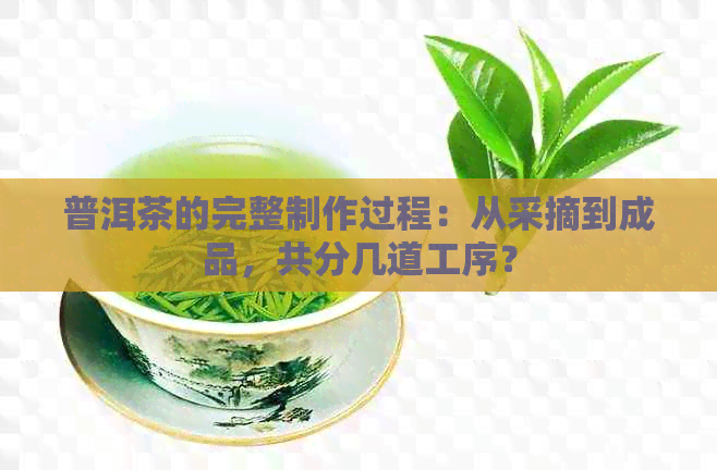 普洱茶的完整制作过程：从采摘到成品，共分几道工序？