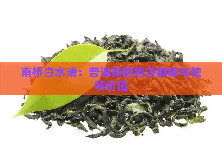 南桥白水清：普洱茶的纯净韵味与独特价值