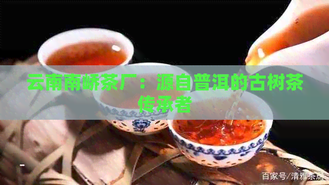 云南南峤茶厂：源自普洱的古树茶传承者