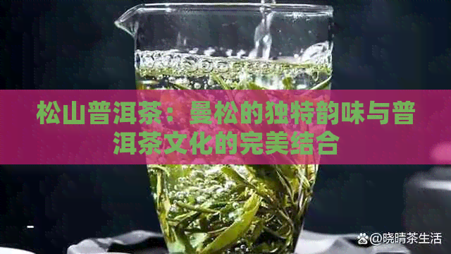 松山普洱茶：曼松的独特韵味与普洱茶文化的完美结合