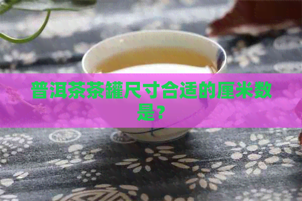 普洱茶茶罐尺寸合适的厘米数是？