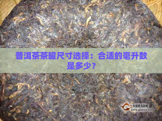 普洱茶茶罐尺寸选择：合适的毫升数是多少？