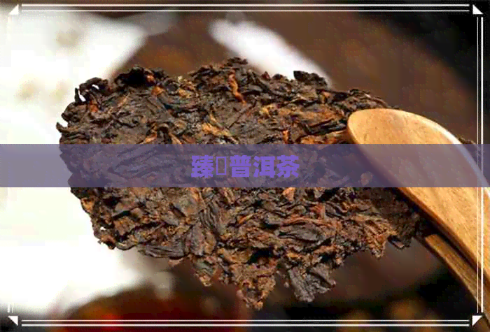 臻檏普洱茶