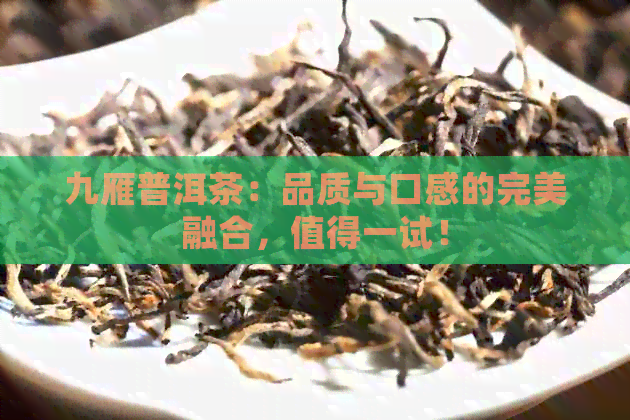 九雁普洱茶：品质与口感的完美融合，值得一试！