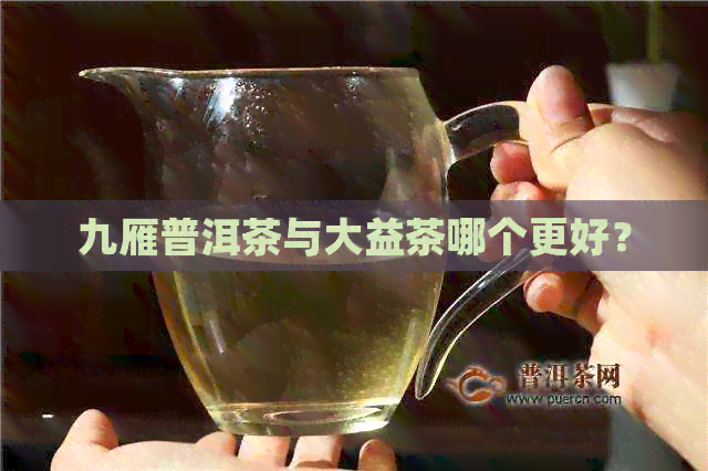 九雁普洱茶与大益茶哪个更好？