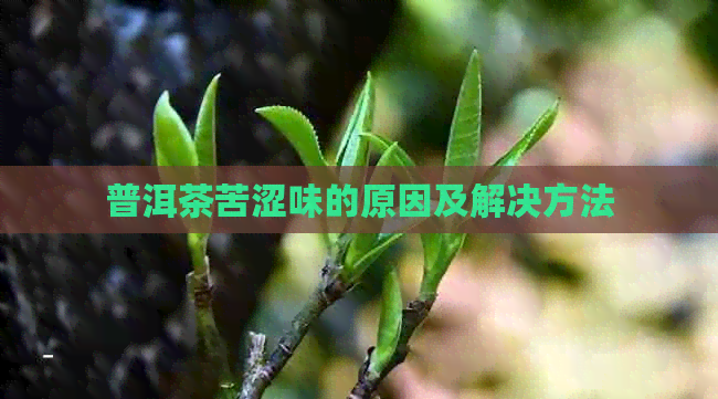 普洱茶苦涩味的原因及解决方法