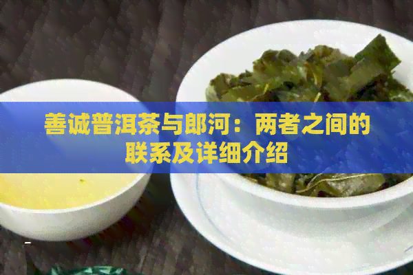 善诚普洱茶与郎河：两者之间的联系及详细介绍