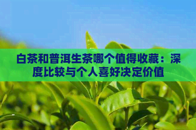 白茶和普洱生茶哪个值得收藏：深度比较与个人喜好决定价值