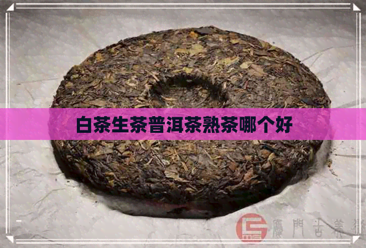 白茶生茶普洱茶熟茶哪个好