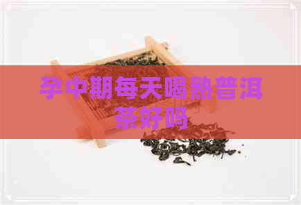 孕中期每天喝熟普洱茶好吗