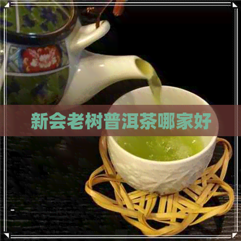 新会老树普洱茶哪家好