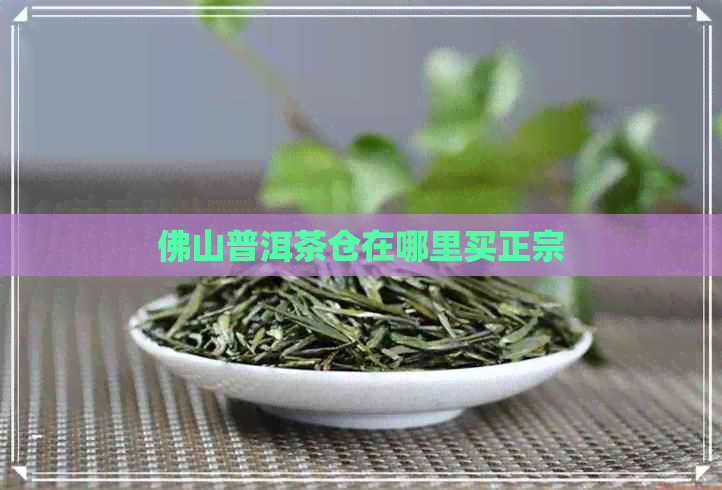 佛山普洱茶仓在哪里买正宗