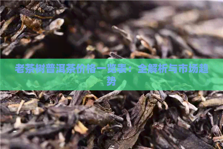 老茶树普洱茶价格一览表：全解析与市场趋势