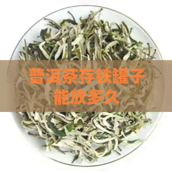 普洱茶存铁罐子能放多久