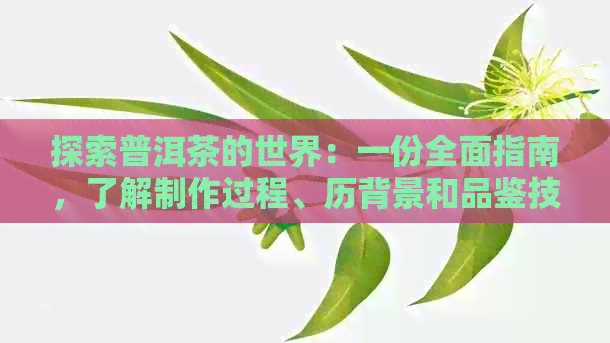 探索普洱茶的世界：一份全面指南，了解制作过程、历背景和品鉴技巧