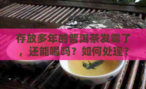 存放多年的普洱茶发霉了，还能喝吗？如何处理？