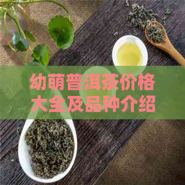 幼萌普洱茶价格大全及品种介绍，探究普洱茶文化与魅力