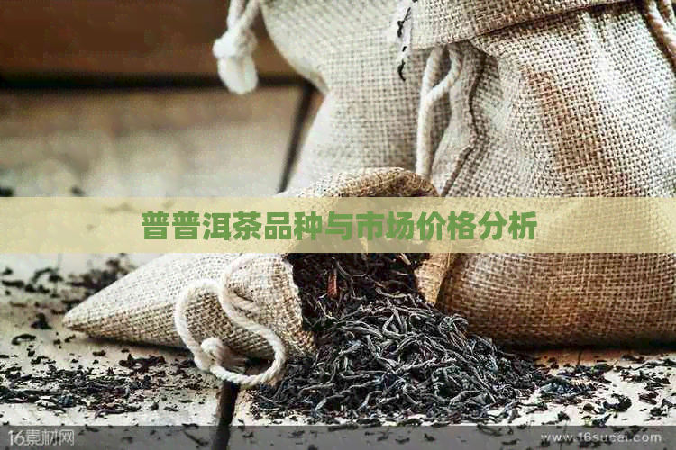 普普洱茶品种与市场价格分析