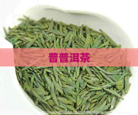 普普洱茶