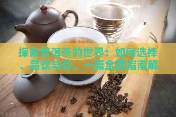 探索普洱茶的世界：如何选择、品饮与存，一篇全面指南解答所有疑问