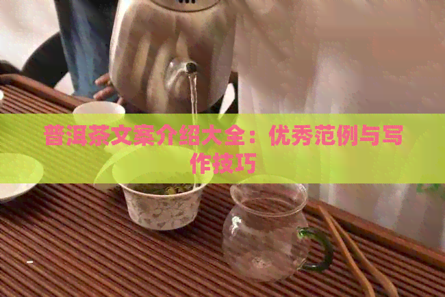 普洱茶文案介绍大全：优秀范例与写作技巧