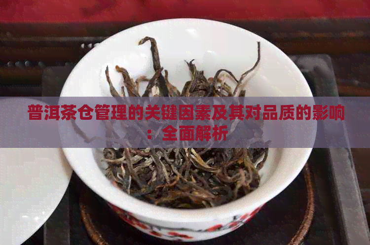 普洱茶仓管理的关键因素及其对品质的影响：全面解析