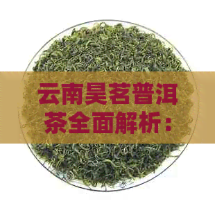 云南昊茗普洱茶全面解析：品质、口感、泡法与收藏，解答用户所有疑问