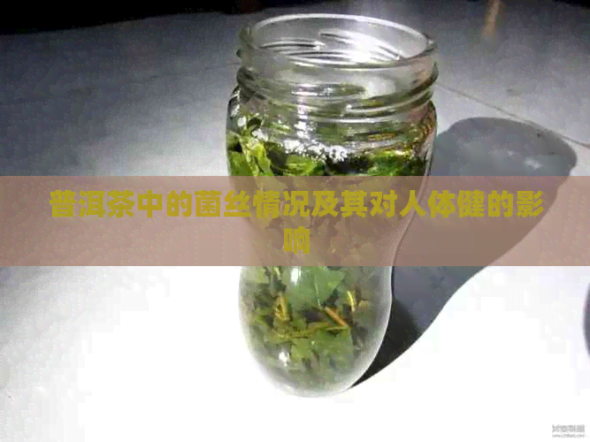 普洱茶中的菌丝情况及其对人体健的影响