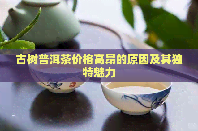 古树普洱茶价格高昂的原因及其独特魅力