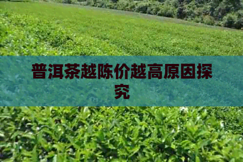 普洱茶越陈价越高原因探究