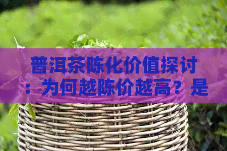 普洱茶陈化价值探讨：为何越陈价越高？是否适合所有消费者？