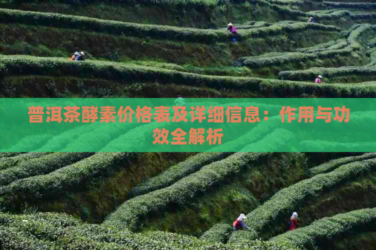 普洱茶酵素价格表及详细信息：作用与功效全解析