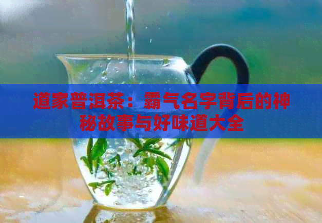 道家普洱茶：霸气名字背后的神秘故事与好味道大全