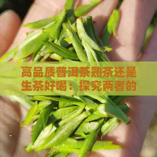 高品质普洱茶熟茶还是生茶好喝：探究两者的口感差异