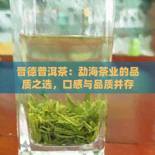 晋德普洱茶：勐海茶业的品质之选，口感与品质并存