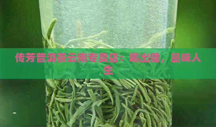 传芳普洱茶云南专卖店：喝出健，品味人生